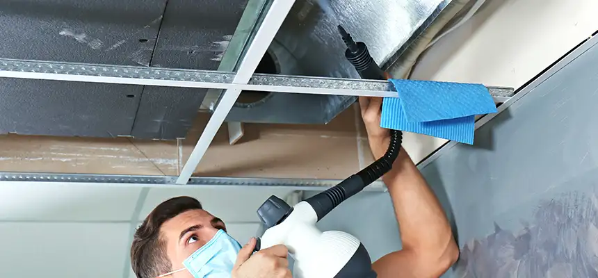Our Air Duct Rodent Removal Services in Indian Trail, NC
