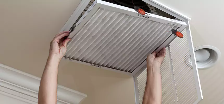Our Insect Removal from Air Ducts Services in Indian Trail, NC