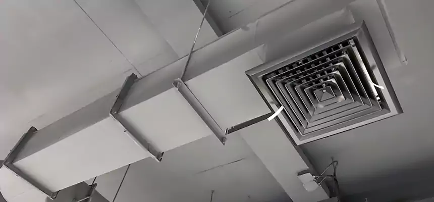 Our Pest Removal From Ducts Services in Indian Trail, NC