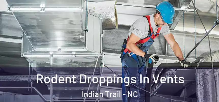 Rodent Droppings In Vents Indian Trail - NC