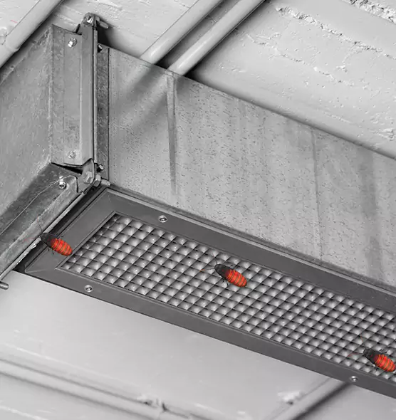 About Air Duct Cockroach Removal in Indian Trail, NC
