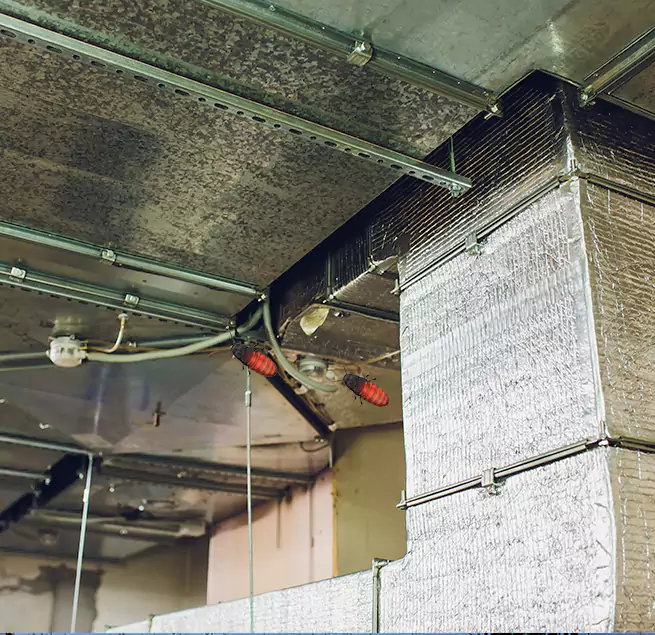 Why Homeowners & Businesses Trust Us in Indian Trail, NC?