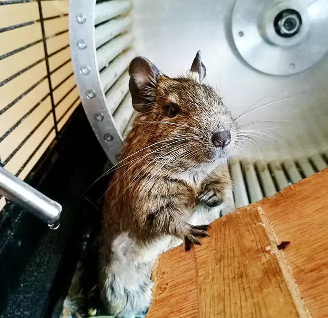 Why Homeowners & Businesses Trust Us Indian Trail, NC?