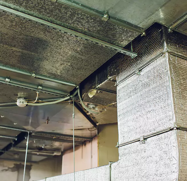 Why Homeowners & Businesses Trust Us in Indian Trail, NC?